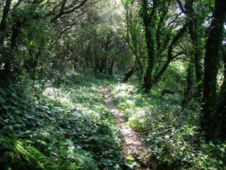 Green path on Corfu